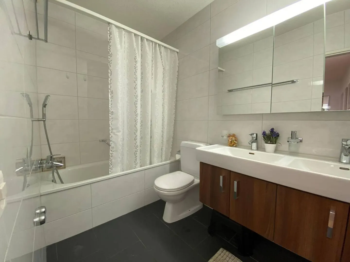 Apartment Arnold Basilea 0*,  Suiza